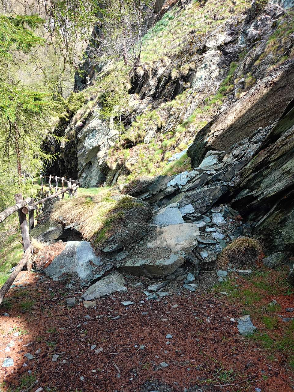 Scheda di dettaglio Liortere-Promoron